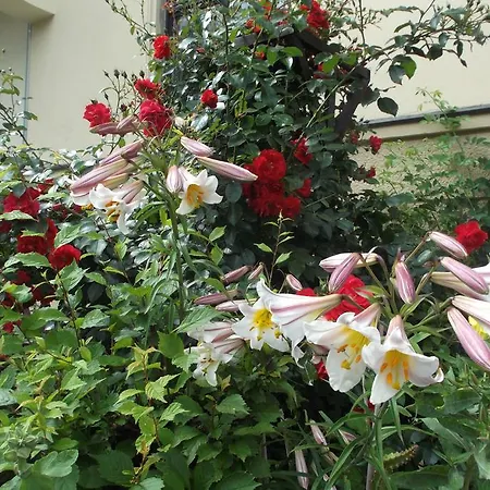 Konukevi Vogtlaender Plauen