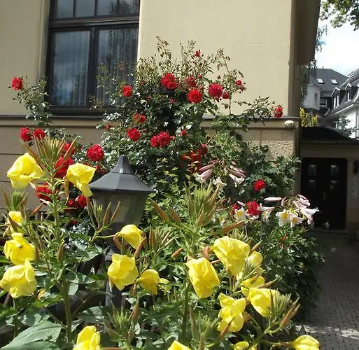 Vogtlaender 3* Плауэн